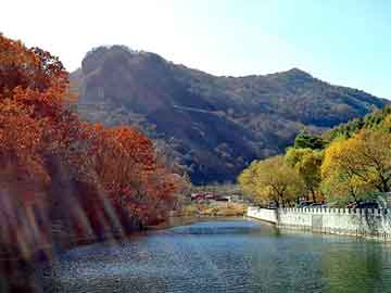 新澳天天开奖资料大全旅游团，青岛澳柯玛维修电话